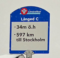 Långed C